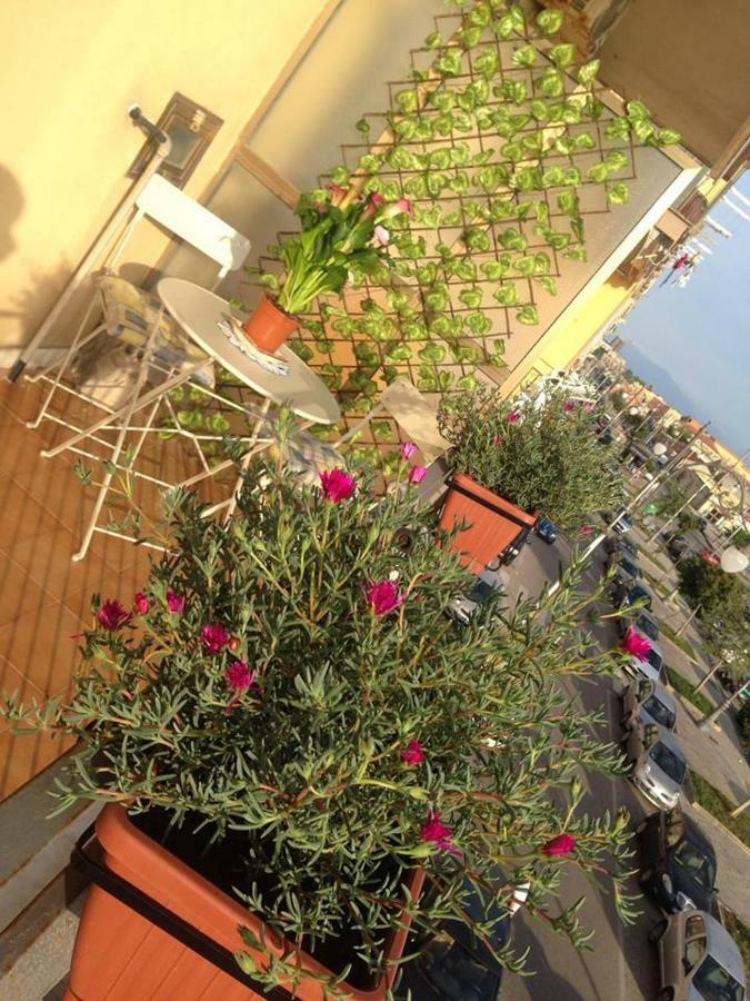 Leucosia Salerno