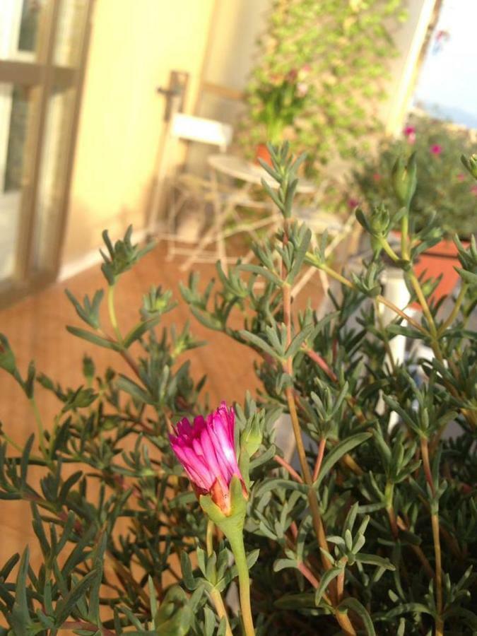 Apartamento Leucosia Salerno